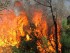 Режим ЧС введен в Быстринском районе Камчатки из-за крупного лесного пожара