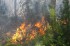 Локализован крупный лесной пожар в Быстринском районе Камчатки